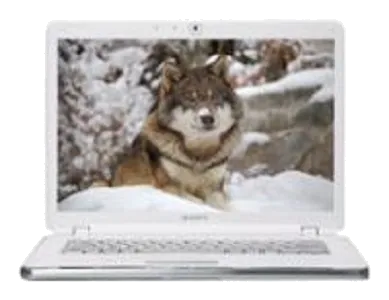 Замена шим-контроллера Sony VAIO VGN-AR520E